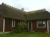 Rookatus, thatched roof, reetdächer, ruokokatot, niedru jumtu, vasstak, тростниковыe крыши